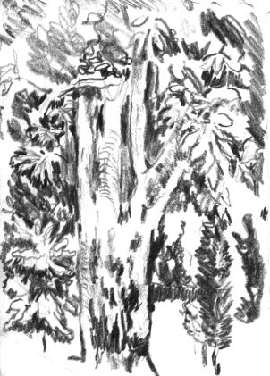 b3-09