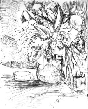 b3-15