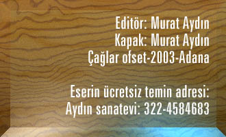 Kitabın Tanıtım bilgisi